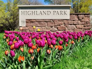 RIT_Grad's tweet photo. Foggy and gray weather got you down today? Check out this gorgeous photo MBA student Imran took of Rochester's #HighlandPark this summer and read his guide to his favorite #ROC sites and perks: https://t.co/0tsa5579LS #MasterRIT #RITGrad #Rochester https://t.co/CpKiyTwZIt