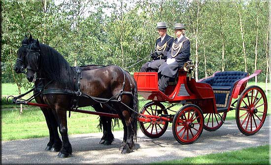 Koets gezocht!

Wie weet een beschikbare koets met paarden en koetsier voor de intocht op 17 november? #dtv