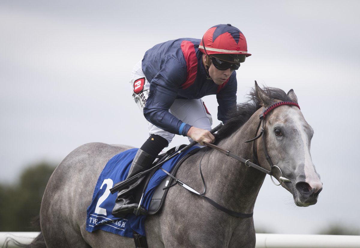 ITM (@irethoroughbred) on Twitter photo ANGELIC LIGHT (IRE) secures Stakes success in landing the Listed <a href="/IrishEBF_/">Irish Stallion Farms</a> "Bosra Sham" Fillies' Stakes at <a href="/NewmarketRace/">Newmarket Racecourse</a> for trainer <a href="/MDOCallaghan/">Michael O’Callaghan</a>. The 2yo daughter of Dark Angel (IRE) cost her trainer €56k at <a href="/Goresbridge2yos/">Goresbridge BreezeUp</a> ANGELIC LIGHT (IRE) secures Stakes success in landing the Listed <a href="/IrishEBF_/">Irish Stallion Farms</a> "Bosra Sham" Fillies' Stakes at <a href="/NewmarketRace/">Newmarket Racecourse</a> for trainer <a href="/MDOCallaghan/">Michael O’Callaghan</a>. The 2yo daughter of Dark Angel (IRE) cost her trainer €56k at <a href="/Goresbridge2yos/">Goresbridge BreezeUp</a>