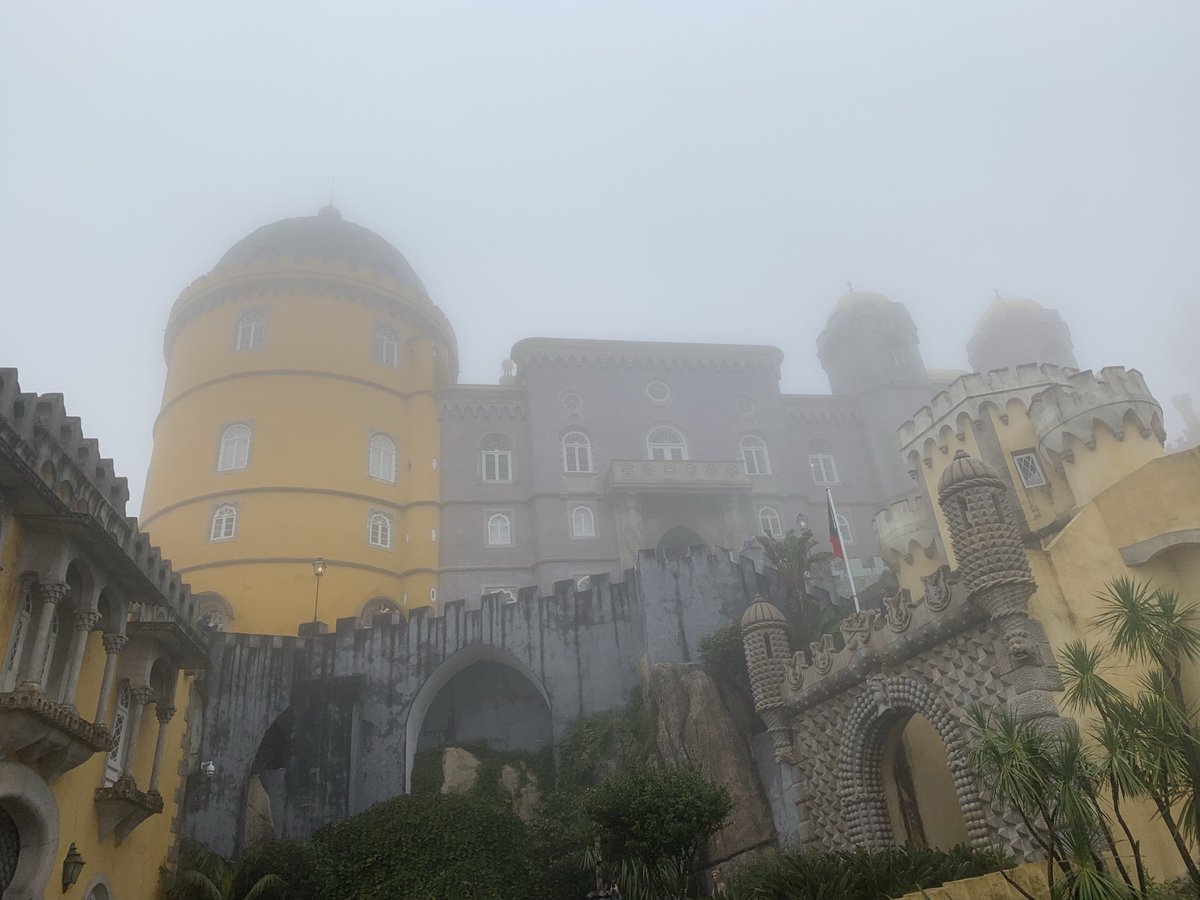 TheSamimTeam's tweet photo. #Portugal #Lisbon #Colares #Sintra #Cascais #CaboDeRoca #Porto #PalacioNacionalDaPena #europe #palace #castle #topofthehill #upthehill #forest #thesamimteam #elliman #douglaselliman https://t.co/C5a4o7VrMk
