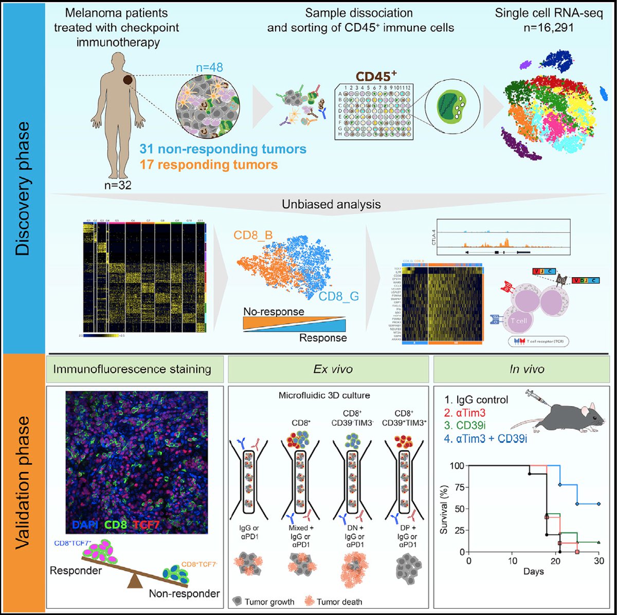 EricTopol's tweet photo. Checkpoint blockade in #cancer: elegant RNA-sequencing and profiling of single T cells to reveal mechanism and biomarker of response https://t.co/y0NKmqki6t
@CellPressNews by @MGHCancerCenter @broadinstitute @DanaFarber @harvardmed https://t.co/VIOVmjlDPW