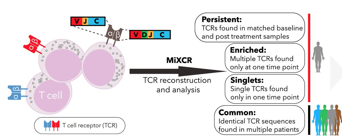 EricTopol's tweet photo. Checkpoint blockade in #cancer: elegant RNA-sequencing and profiling of single T cells to reveal mechanism and biomarker of response https://t.co/y0NKmqki6t
@CellPressNews by @MGHCancerCenter @broadinstitute @DanaFarber @harvardmed https://t.co/VIOVmjlDPW
