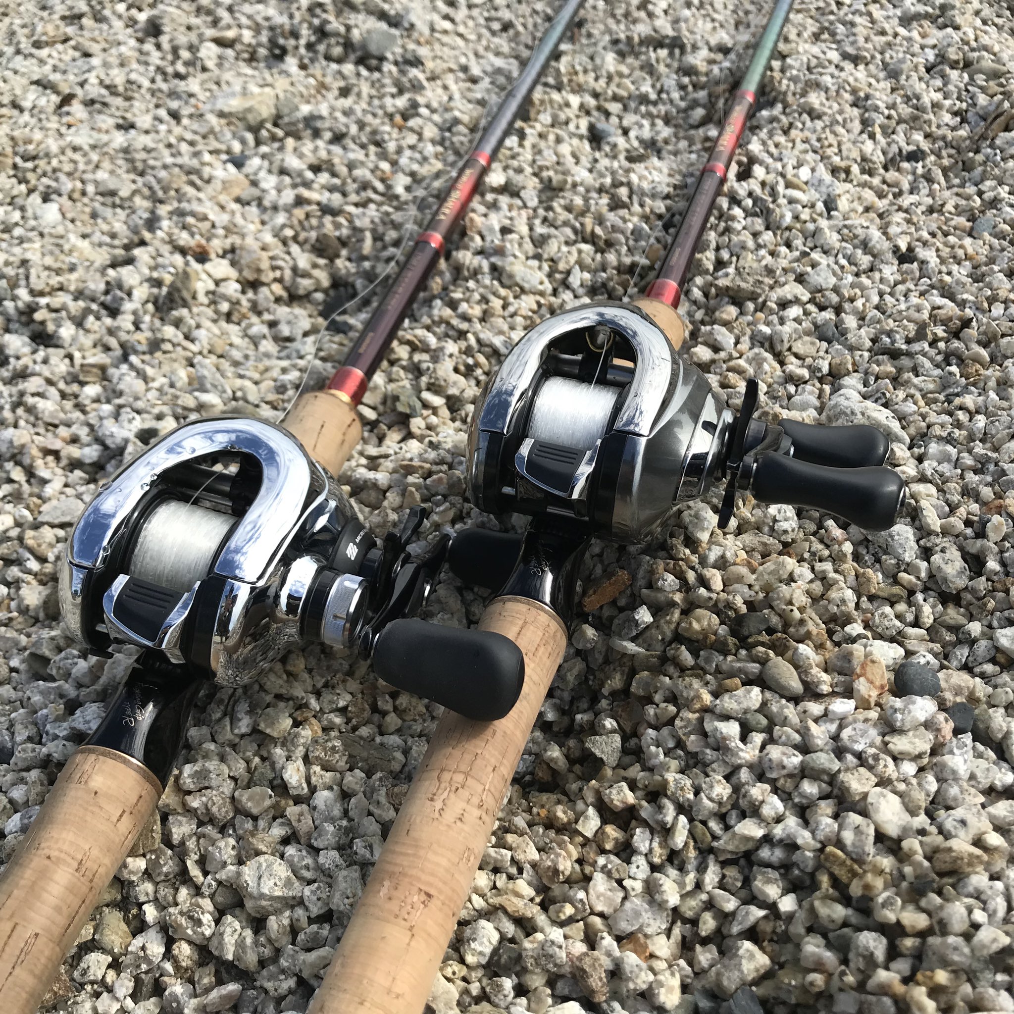 新しく着き アンタレス ノーマルギア Dc リール Www Workdom Io