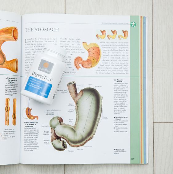 doterra's tweet photo. Learn about gut health and how to care for your stomach! https://t.co/TG50OeJ7gB https://t.co/YNR4y9WAK7