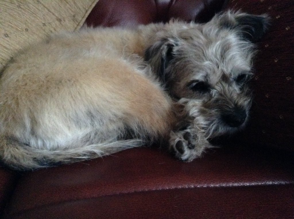 Does by bum look fuzzy in this?