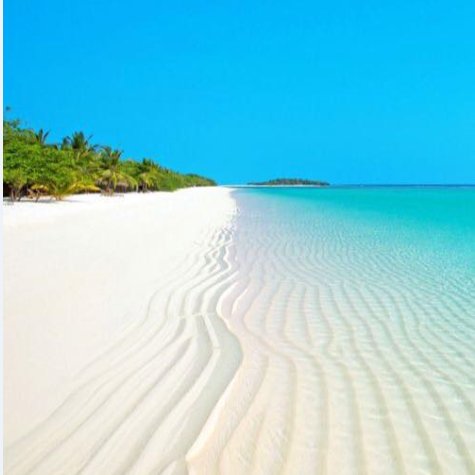 SeaBeastGear's tweet photo. Charming! 😘😘
#seabeastaf90 #beach https://t.co/mzxsFSovRk