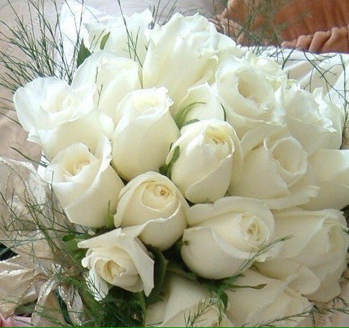 Hhh2ob tweet picture