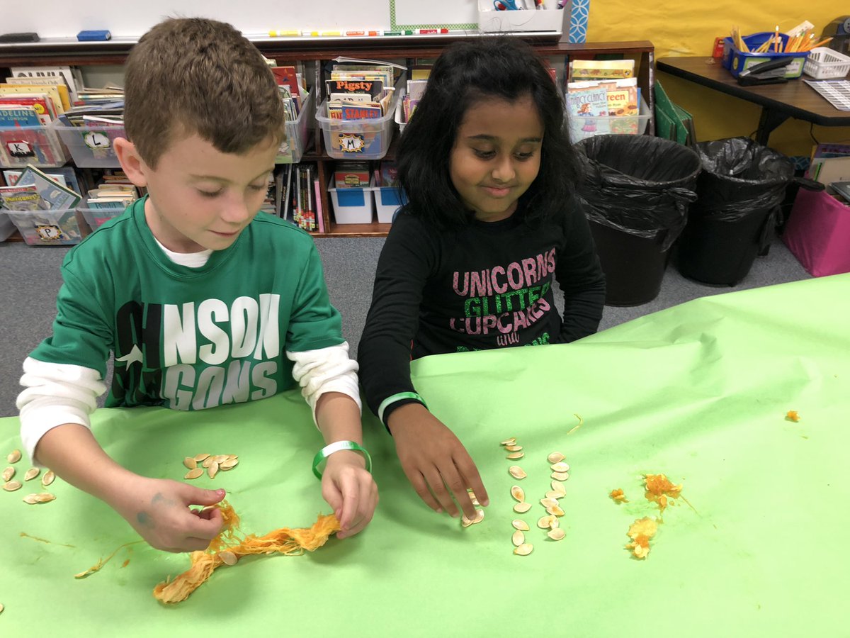 Lindsay Little tweet media