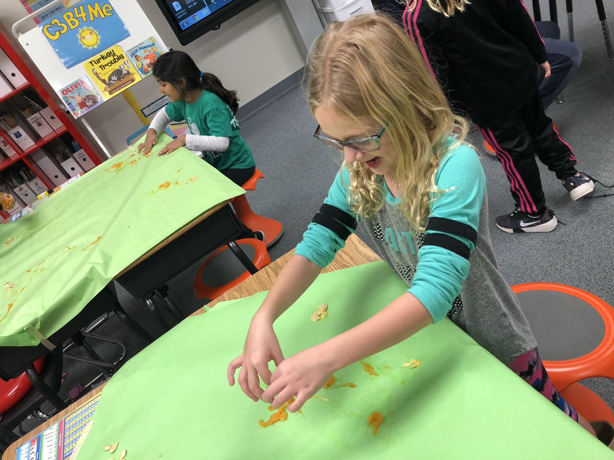 Lindsay Little tweet media