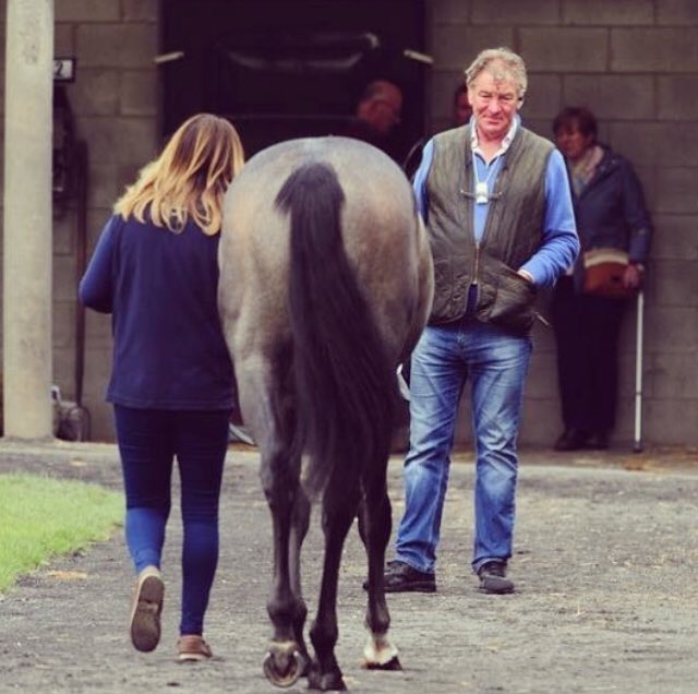 Miriam Anglin (@miriamanglin) on Twitter photo <a href="/YeomanstownStud/">Yeomanstown Stud</a> <a href="/MDOCallaghan/">Michael O’Callaghan</a> <a href="/LeighRoche1992/">Leigh Roche</a> <a href="/NewmarketRace/">Newmarket Racecourse</a> <a href="/Egmont_Stud/">Mark Flannery</a> <a href="/FlanneryPaula/">Paula Flannery</a> <a href="/Goresbridge2yos/">Goresbridge BreezeUp</a> What the rest of the field saw today 🐎💨😉🏆 #Queen #Yearlingsales @tatts_ireland <a href="/YeomanstownStud/">Yeomanstown Stud</a> <a href="/MDOCallaghan/">Michael O’Callaghan</a> <a href="/LeighRoche1992/">Leigh Roche</a> <a href="/NewmarketRace/">Newmarket Racecourse</a> <a href="/Egmont_Stud/">Mark Flannery</a> <a href="/FlanneryPaula/">Paula Flannery</a> <a href="/Goresbridge2yos/">Goresbridge BreezeUp</a> What the rest of the field saw today 🐎💨😉🏆 #Queen #Yearlingsales @tatts_ireland
