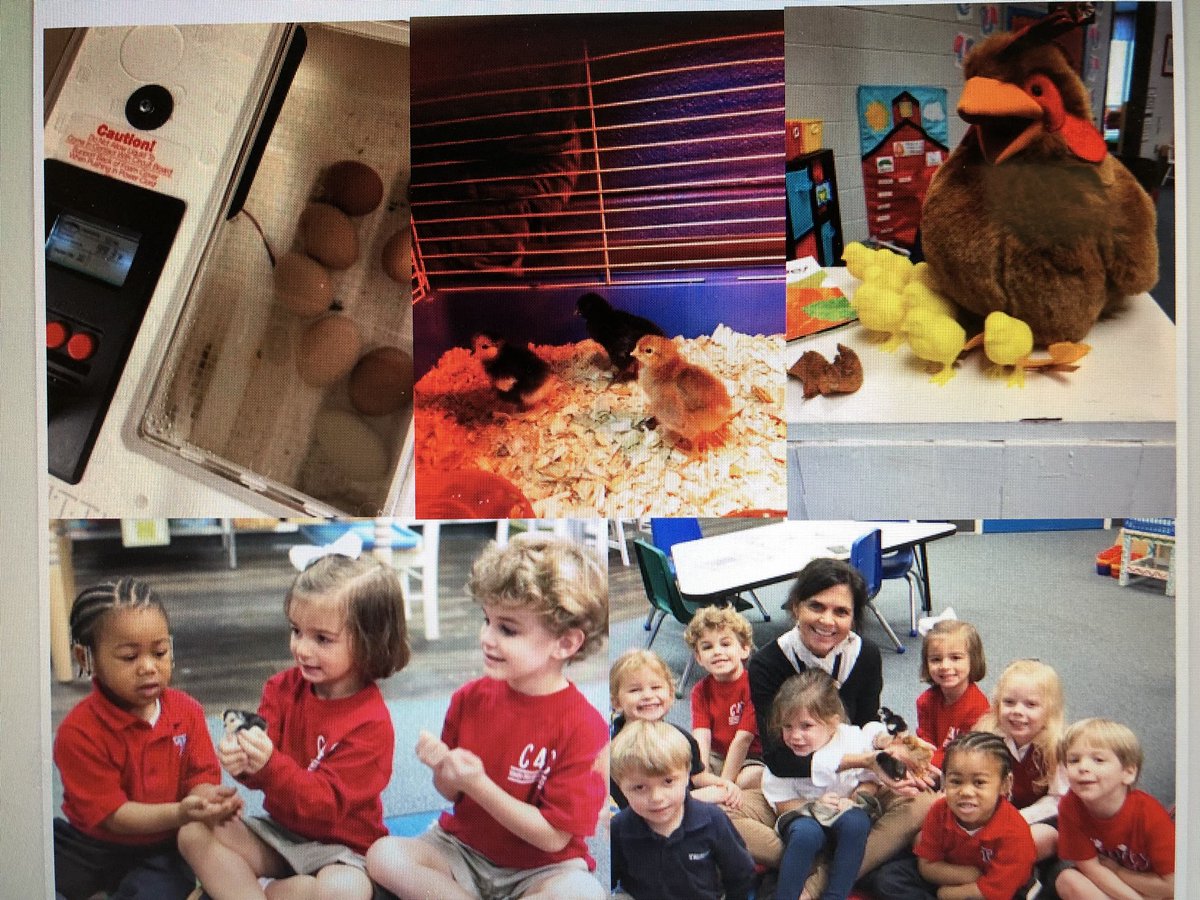 becfaulkner's tweet photo. These K3 students at Trinity are learning all about the farm through active, engaging activities! @TrinityWildcats @kpalmer71 @sbwright56 @tbs80 https://t.co/nAs8LxIcZI