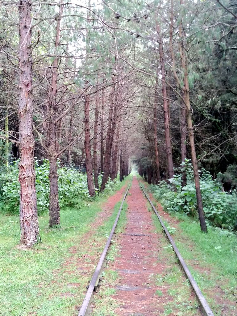hiramrueda's tweet image. Perspectiva #DiaDeMuertos al infinito y más allá!! #CuandoConectoCon mi 📸