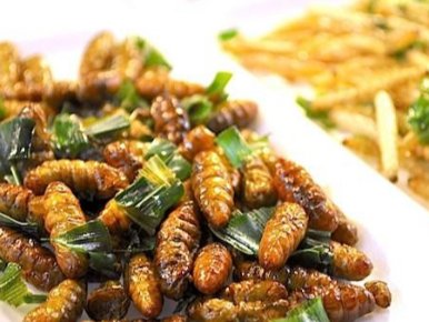 Les insectes comestibles, tout le monde en parle, mais personne ne les mange ! Pour beaucoup, les insectes, c'est dégoûtant. Mais pas plus qu'une crevette ou qu'un escargot. Festif, nutritif avec des saveurs de banane, de bacon ou de coquille Saint-Jacques. 
Bon appétit !