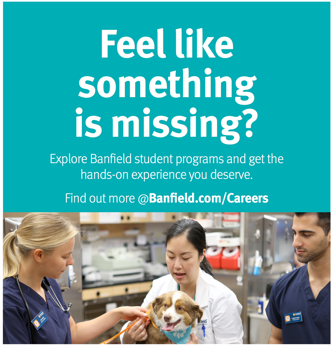 viralvet's tweet photo. #Banfield Student Programs were designed with YOU in mind. As you transition from veterinary student to practicing medicine professionally, it’s our goal to set you up for a successful career. 

https://t.co/aN7vBaxxJv https://t.co/56hFopED9x
