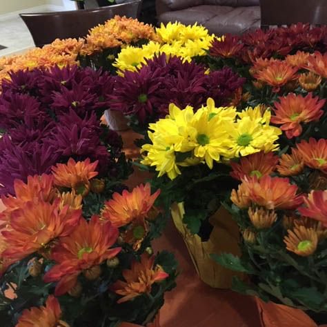 BirchwayNiagara's tweet photo. Our clients were the recipients of a lovely random act of kindness today. THANK YOU for making their day!

#rak2018 #kindnessmatters #randomactsofkindess https://t.co/KD3WSLFtWZ