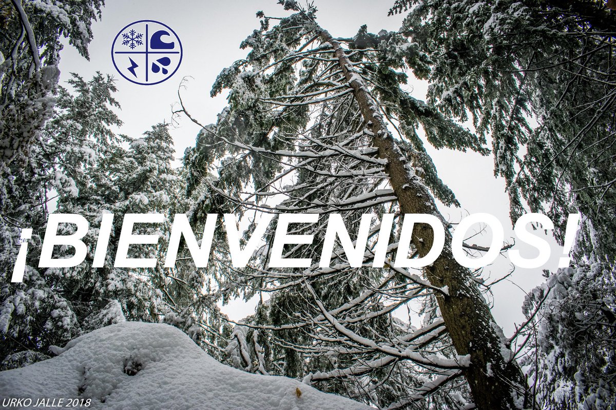 La Meteo del Norte tweet media