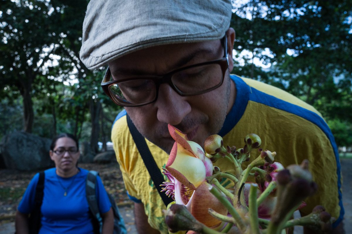 LasCorocoras's tweet photo. Estas son las cosas que disfrutamos en las #CaminatasConscientes
#Martes y #Jueves a las 4:30pm desde #LasCorocoras
•••
#ProgramaciónLasCorocoras #Naturaleza #Paseos #Recorridos #Caracas #Ccs #Parque #Familia #EduAmbiental #2Nov #2Nov2018 https://t.co/YGWUgXbqh7