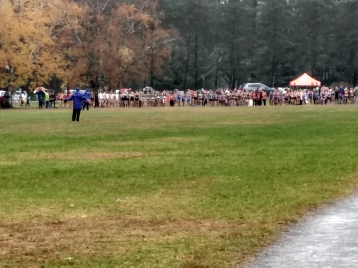 Greenville girls cross country start. Tess Fitzmaurice finished 4th and will be heading to states