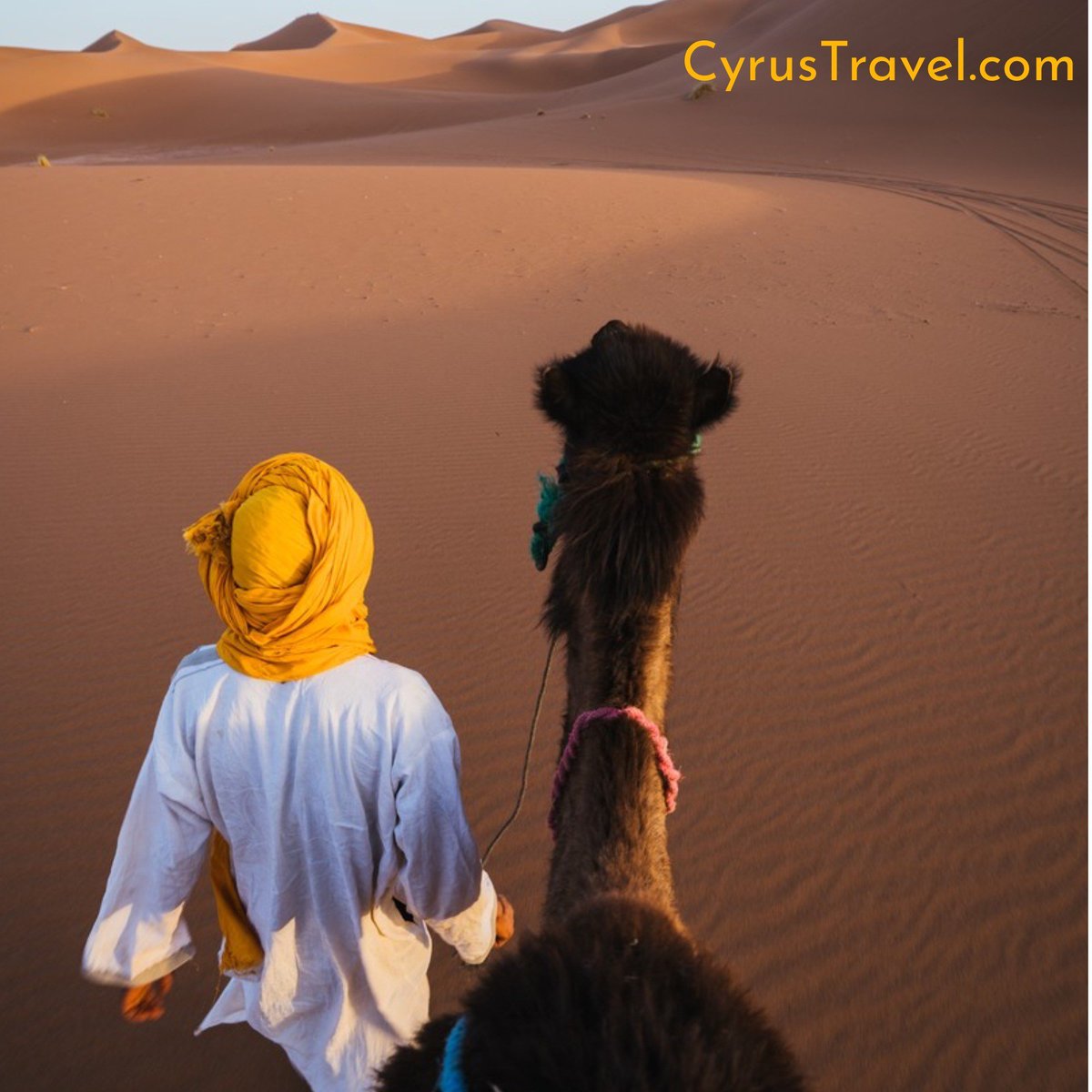 Cyrus Travel tweet media