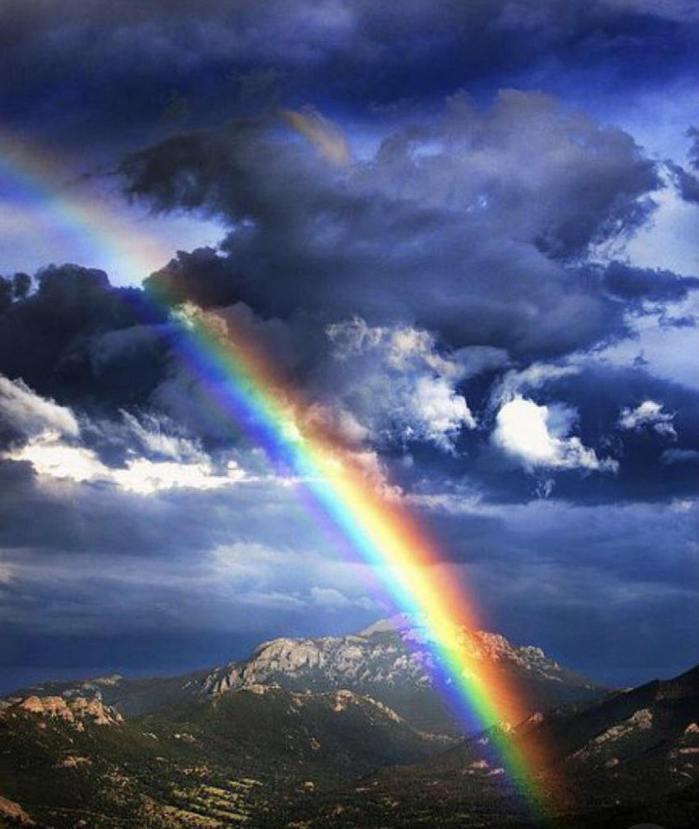TShuttlesworth8's tweet photo. I believe God’s Word above and beyond any other.
He’s the Creator of the ends of the earth. Every covenant God has made with me He’s never broken.
#CovenantKeeping https://t.co/OxqeTGhALE