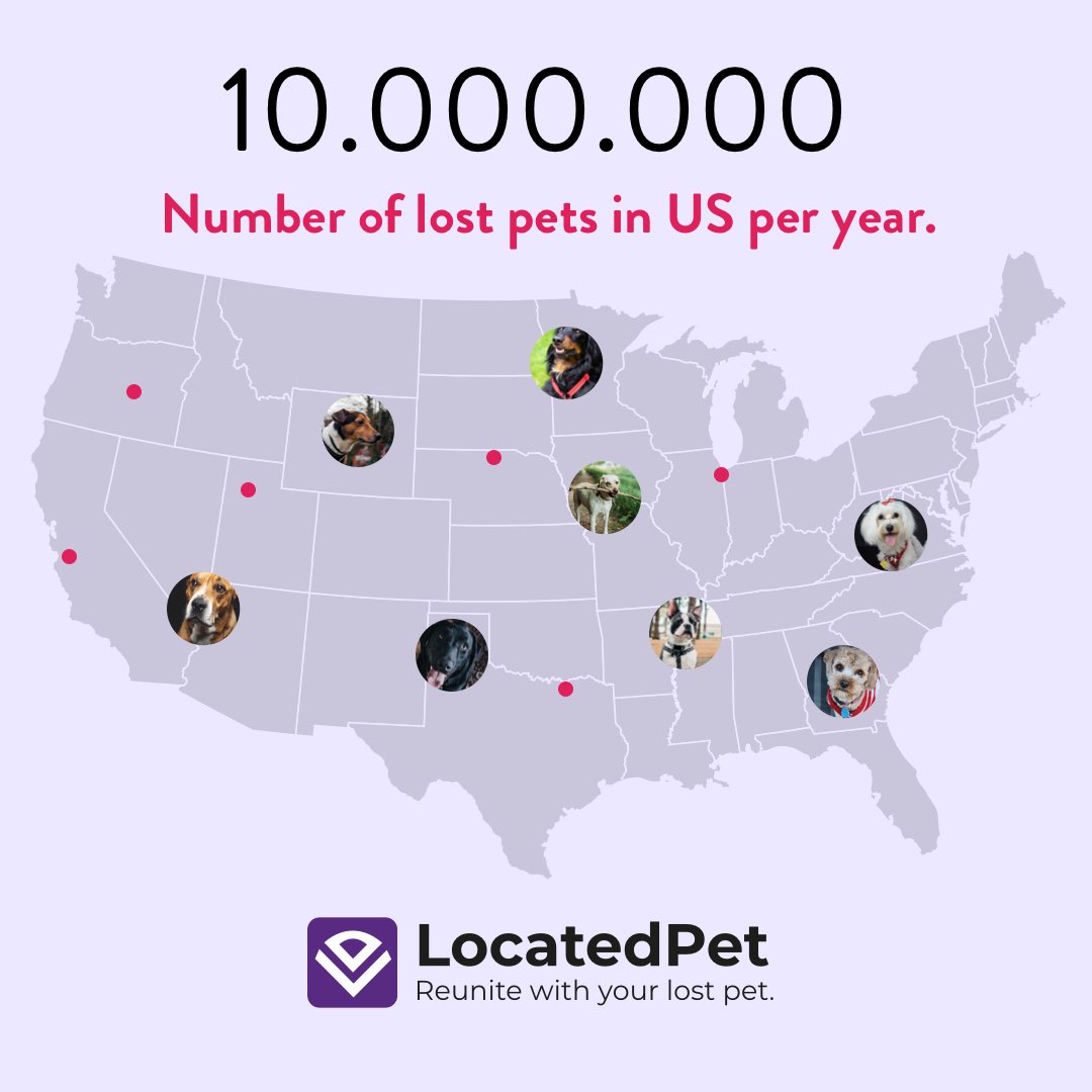 locatedpet's tweet photo. LocatedPet helps to save your beloved pet from losing FOREVER! Join the community of a yellow tag and get a peace of mind. Subscribe on https://t.co/dqz20udKnl #LocatedPet #petlovers #doglovers #lostpets #lostdog #lostcats https://t.co/K33MrQtacr