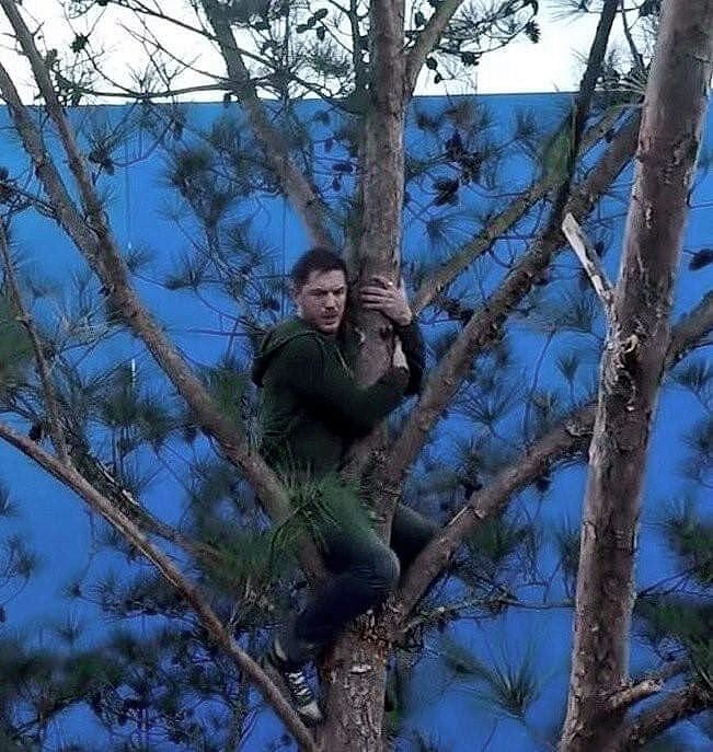 z4kup4n's tweet image. 