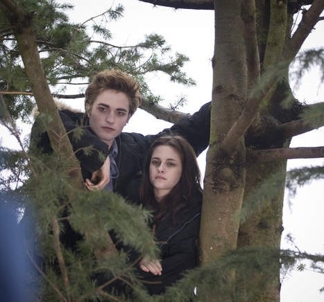 z4kup4n's tweet image. 