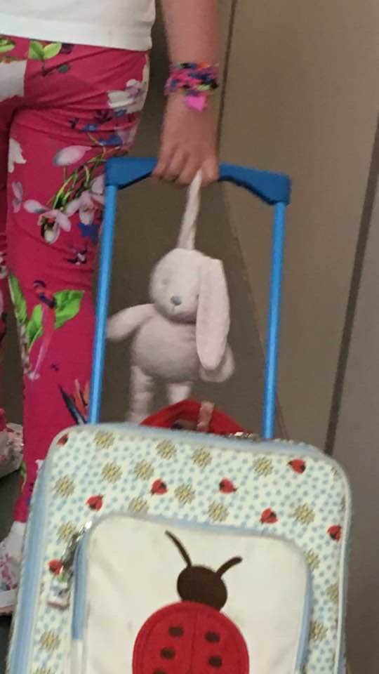 fatnat22's tweet photo. HELP!! My niece has left her most loved pink bunny on the @MCRMetrolink 17:10 from Victoria to Manchester Airport. Please help us find it! 😢🐰 Aged 7 and 3 quarters 😰 https://t.co/sDwWtQdDkx