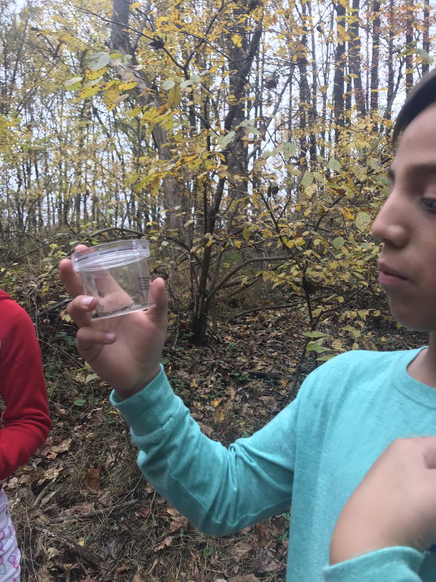 Lisa Meyd tweet media