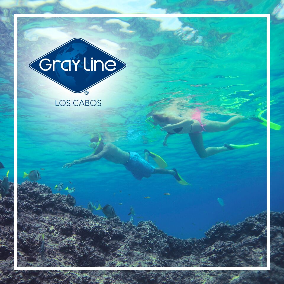GrayLineCabo's tweet photo. Are you ready to discover a whole new world?... Check out our Deluxe Snorkeling at the Aquarium of the World Activity!

For more information or bookings visit our website: https://t.co/0r5WHoiUBd

#sea #Loscabos #snorkeling #fun #travel #mexico https://t.co/AzRFDK3XcB