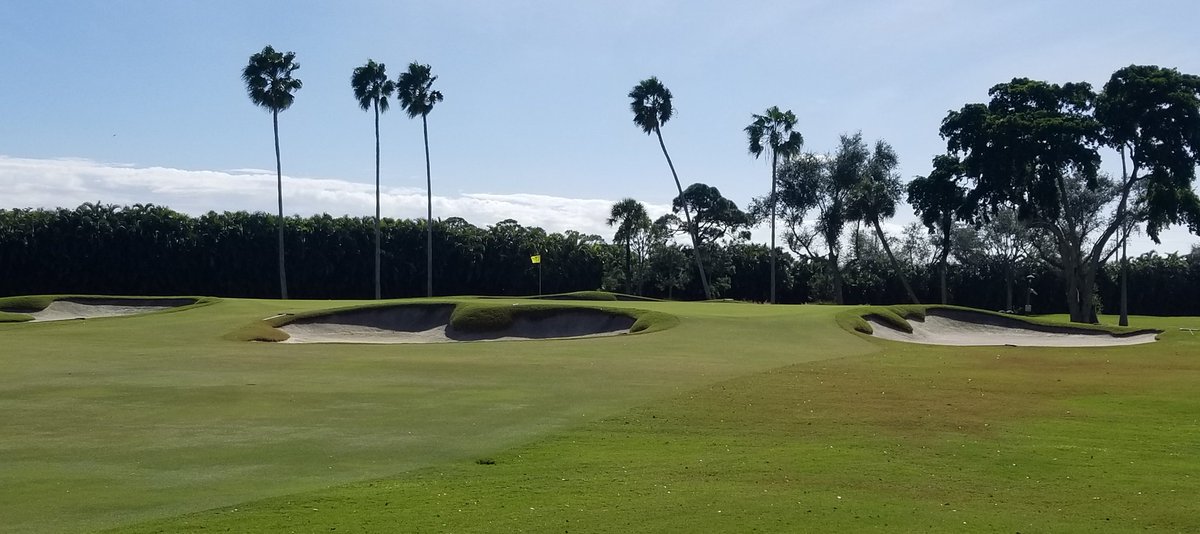 steve wright cgcs tweet media