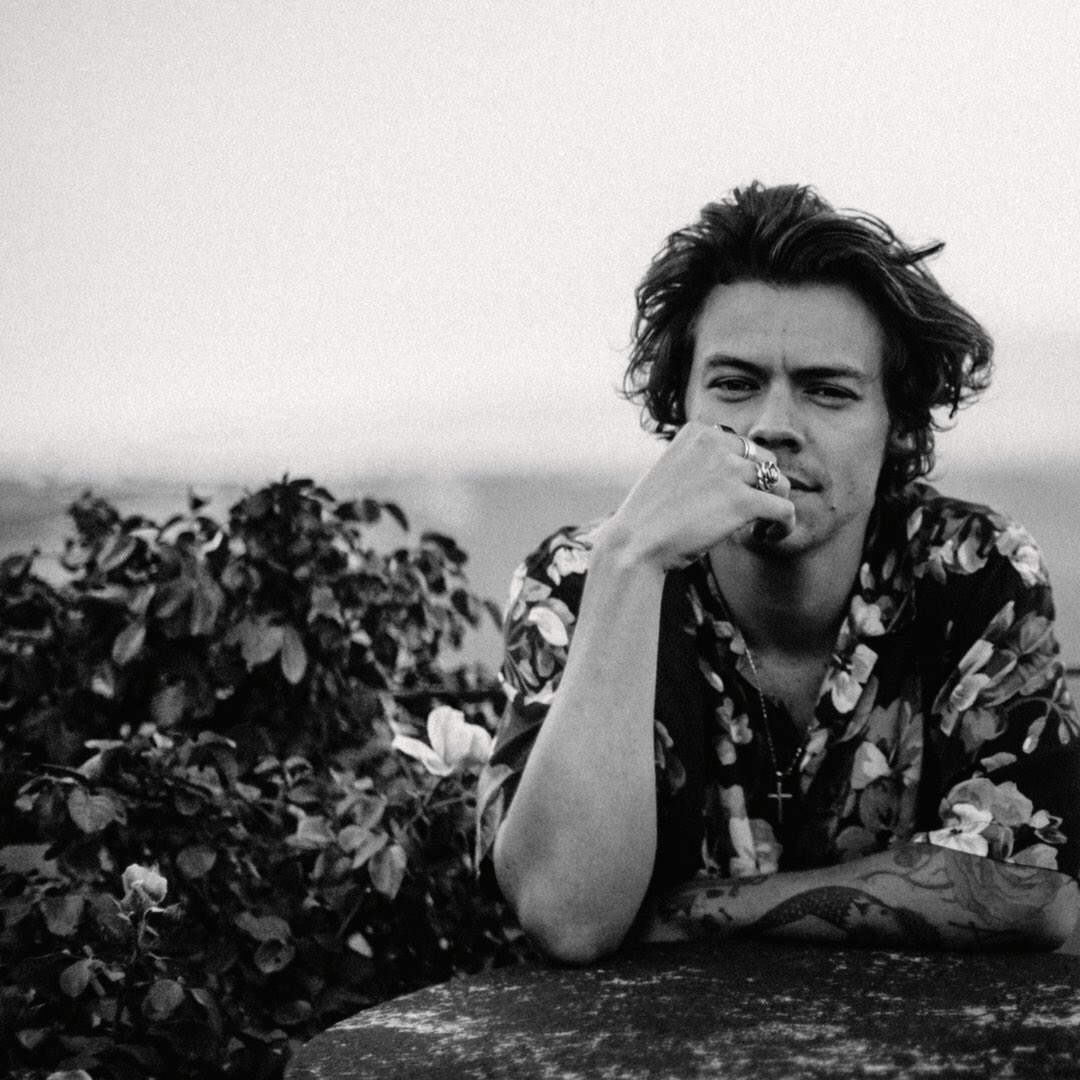 TheStylesStudio's tweet image. I’m not ready for all this new Harry content