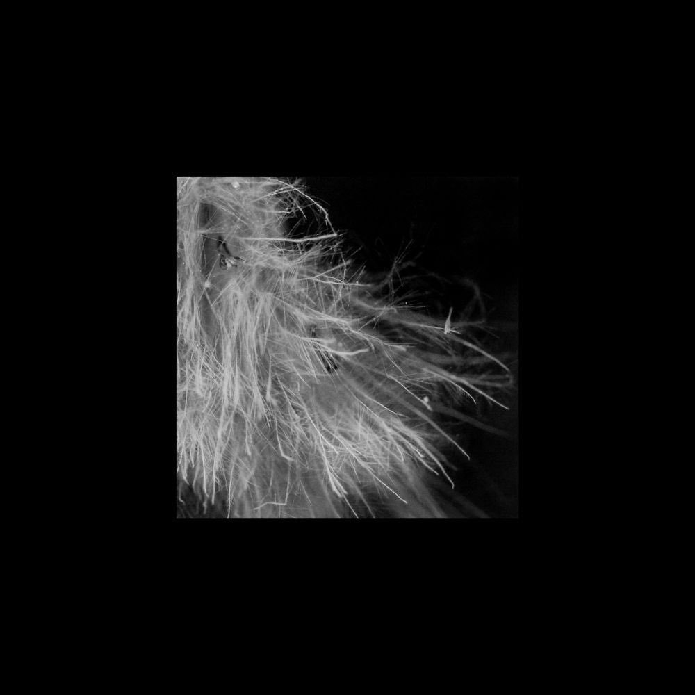Emma_Hudee's tweet photo. Untitled

#Blackandwhitechallenge #BandW #Blackandwhite #Monoart #Art #Abstract #FineArt #Photography #Photographer #Artist #Artwork #Lensculture https://t.co/nQaneCykVj