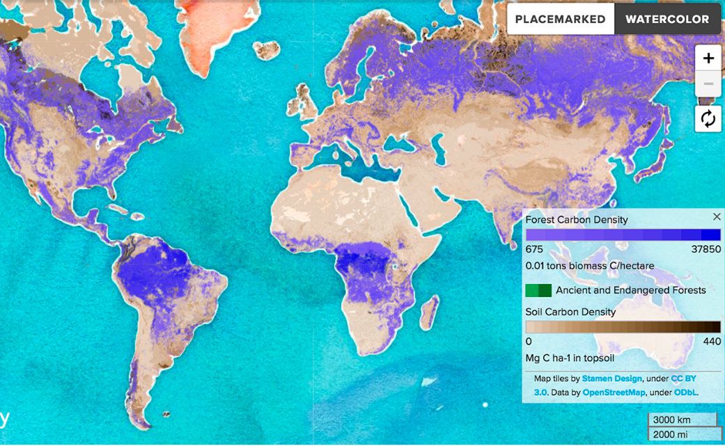 Canopyplanet's tweet photo. Canopy’s ForestMapper brings forest conservation to the boardrooms of global corporations and small businesses alike. These brands are among ForestMapper's supporters: @asos @espritofficial @countryroad @woolworthsGBJ @TAMGAdesigns @ca_europe https://t.co/snIz7EVXAo https://t.co/WIVAkFl2eg