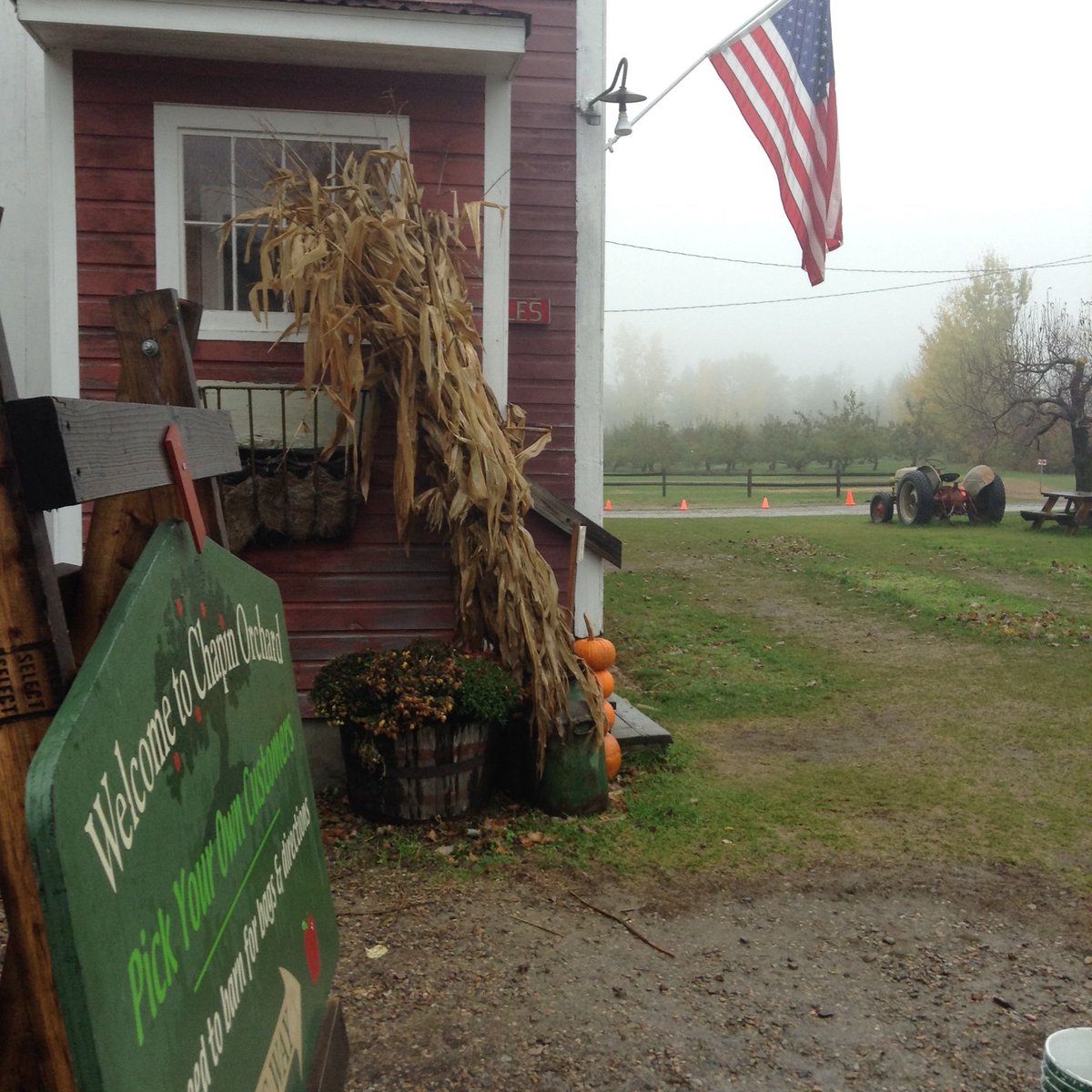 kristeninvt's tweet image. Spent the afternoon picking up snacks for the #BTV @vetstownhall event. (Vets are invited to speak; the whole community is invited to attend and listen this Sun. 11/4. vtvetstownhall.eventbrite.com)  Many thanks to @cabotcheese, @DakinFarm, Chapin Orchard, others for donating. @CCV_VT