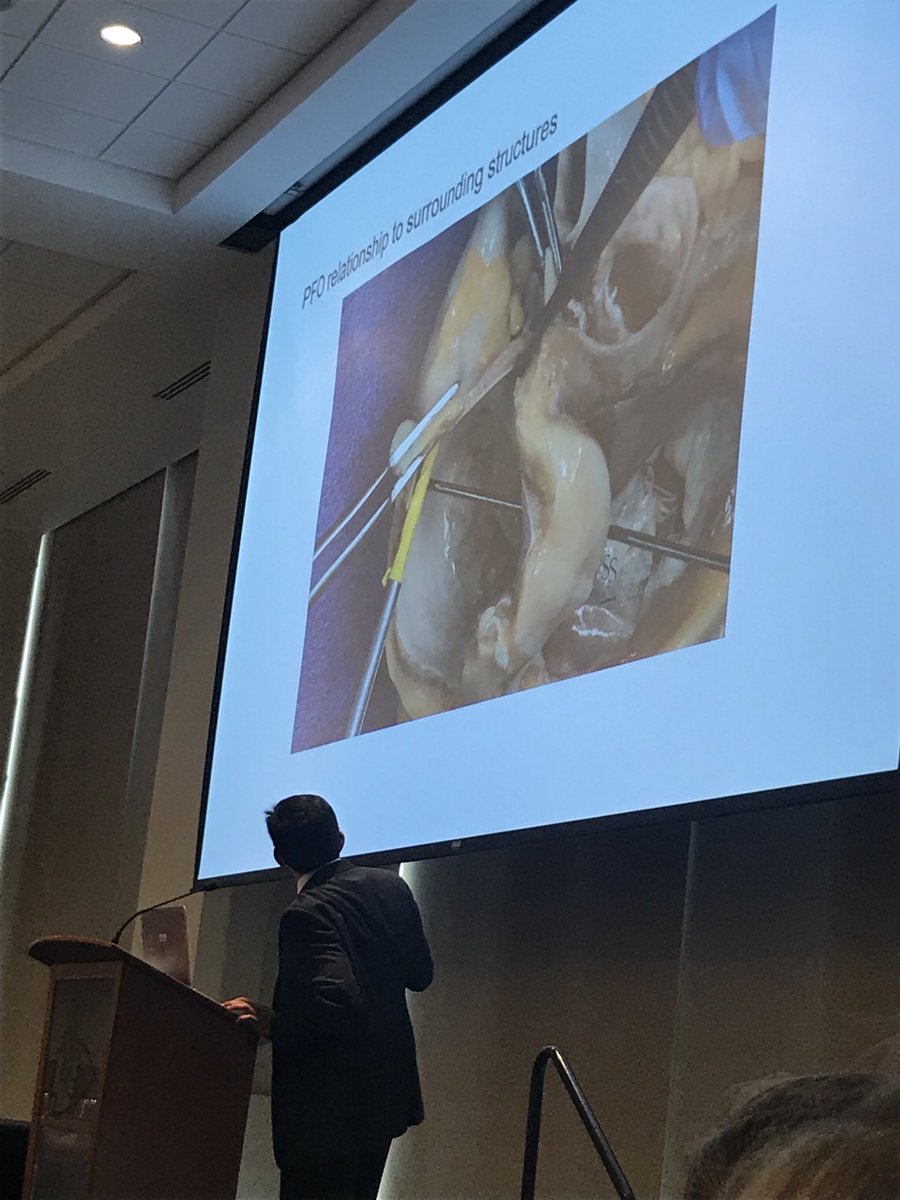 KcGypsea's tweet photo. PFO in the ❤️
Dr. Deepak, RMC
@AHAKansasCity #lifeiswhyKC https://t.co/4IC5wCueJZ