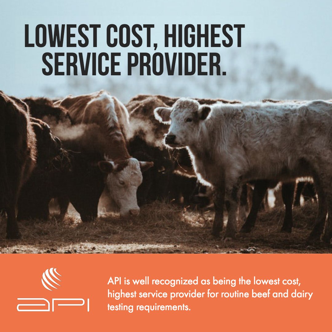 animalprofiling's tweet image. BVD, BLV, Johnes, Neospora and Preg Testing — API is your answer to better performance! API is recognized as the lowest cost, highest service provider for routine beef and dairy testing requirements. animalprofiling.com