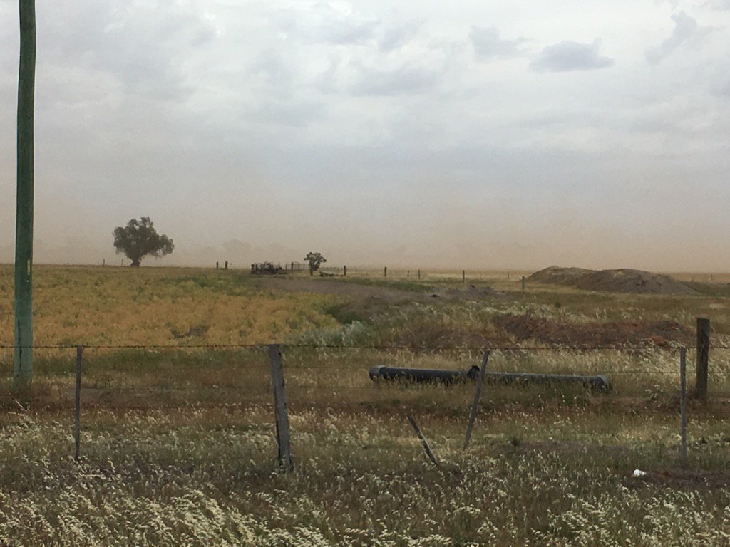 Andrew harding tweet media