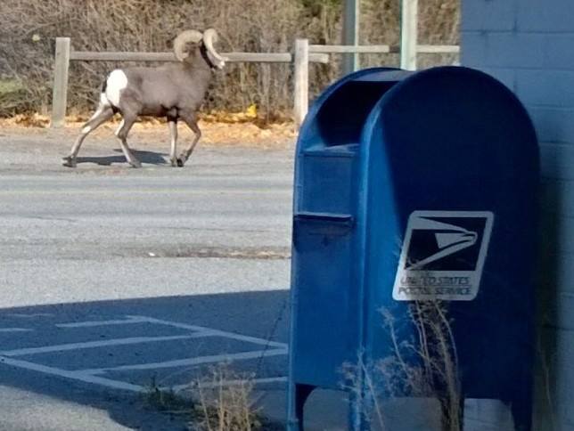 KarenSenate's tweet photo. The ballots are rolling in! If you fill yours out over the weekend, make sure it will be postmarked NO LATER than Tuesday. THANK YOU FOR YOUR SUPPORT! #WhysheRuns #NoBull #7thDistrictStrong https://t.co/wxWUrSl8p7