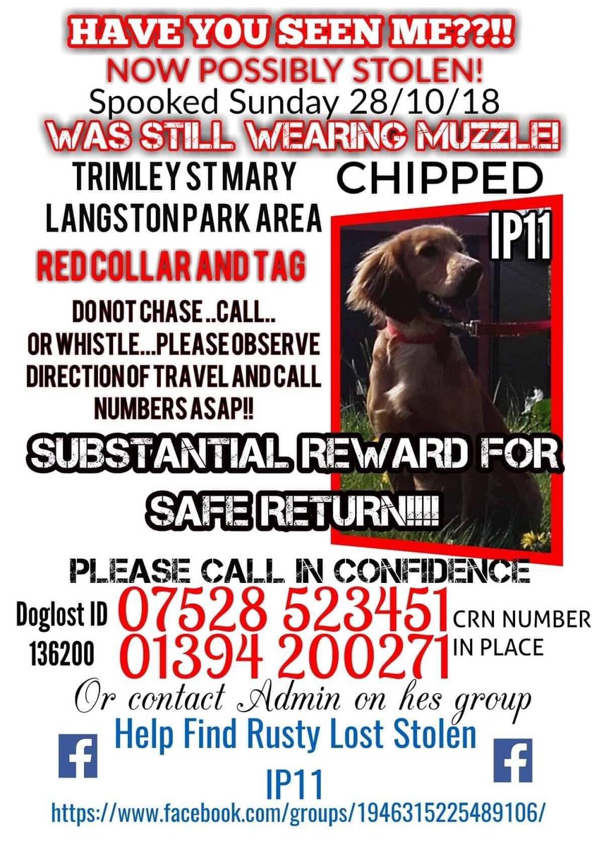rosieDoc2's tweet photo. #findRusty
HELLO MY NAME IS RUSTY๐
I ran when I got scared #TrimleyStMary #LangstonPark area
PLS CAN YOU HELP ME HOME? I'm wearing a MUZZLE & really hungry, I think it may be nearly off now
I love my family so much & I feel really, really sad ๐ช I wish I'd stayed where I was https://t.co/VBL8TBFVwj