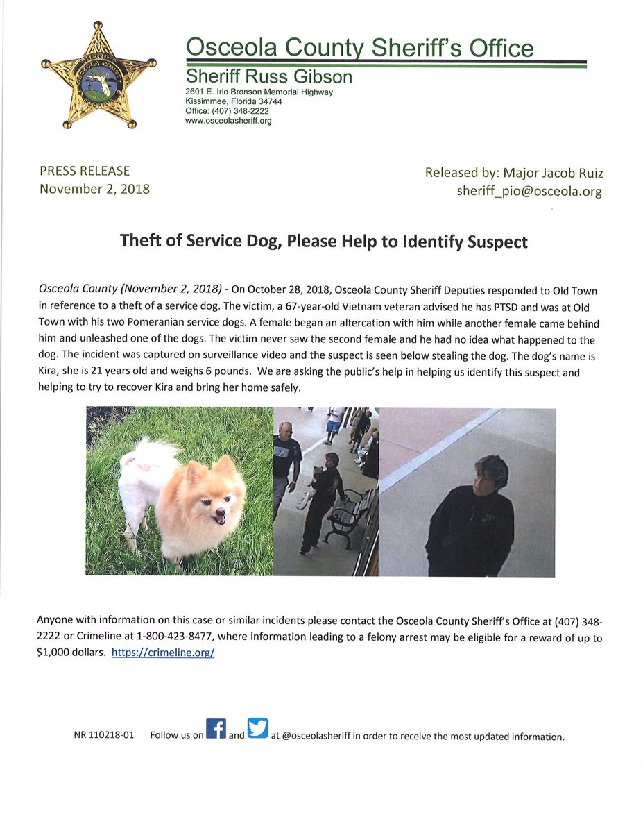 🚨 PLEASE SHARE: SERVICE DOG THEFT! We need your help to identify this suspect. 🚨
On October 28, 2018, surveillance cameras at Old Town captured the theft of a Pomeranian service dog belonging to a 67-year-old Vietnam veteran. Anyone with information please call (407)348-2222.