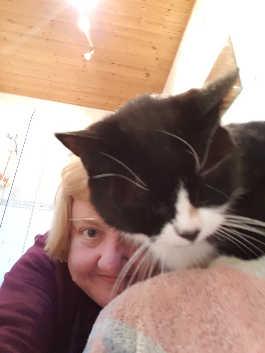 <a href="/MeanderingNumps/">Numps</a> Big Sister visited us yesterday. She gave Rollo 'a carry' around the garden wrapped in a blanket as it was cold. Rosie would only let Big Sister have a selfie while she had a purr on the toilet seat! It's one of Rosie's favourite spots.