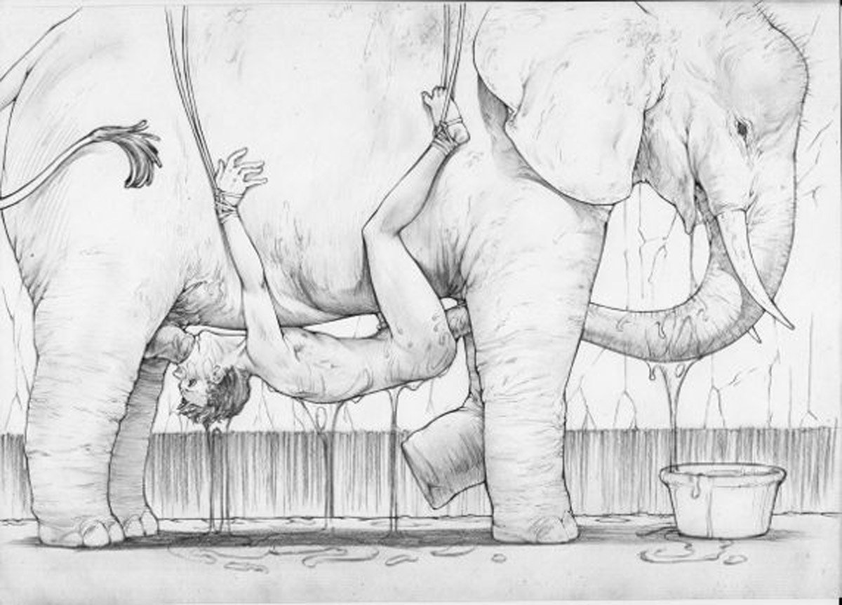 Elephant fuck girl, single young girls