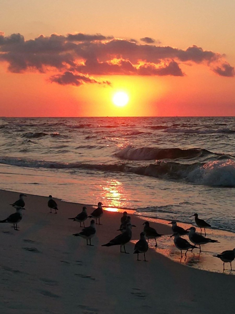 DestinWest's tweet image. The perfect beach cocktail...

1 part Sand

1 part Sea

Twist of Sunset

Huge thanks to our photo contest winner for this amazing photo! Thanks Marcy!

#destinwestvacations #sunset