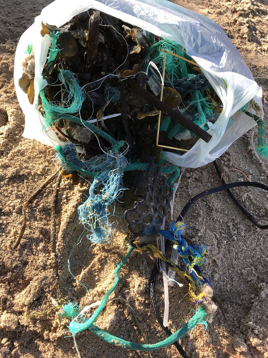 CowriesStMerryn's tweet photo. It take 10 mins but makes such a difference @BeachGuardian #environmental #beach #helpingsaveourseas https://t.co/LAmo2aKtuA