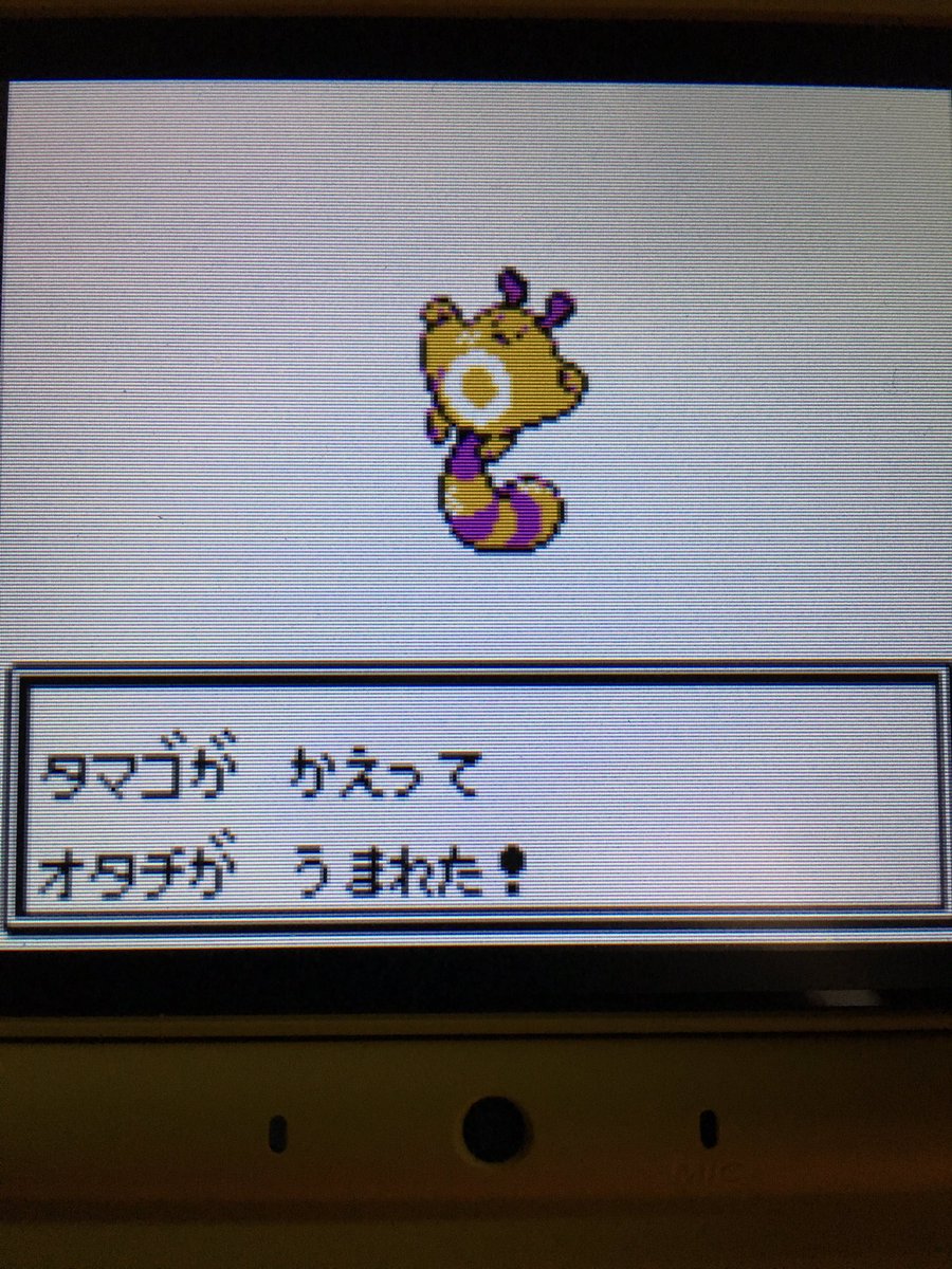 色違いポケモン紹介 Vc産オタチ 自由に生きてあそblog