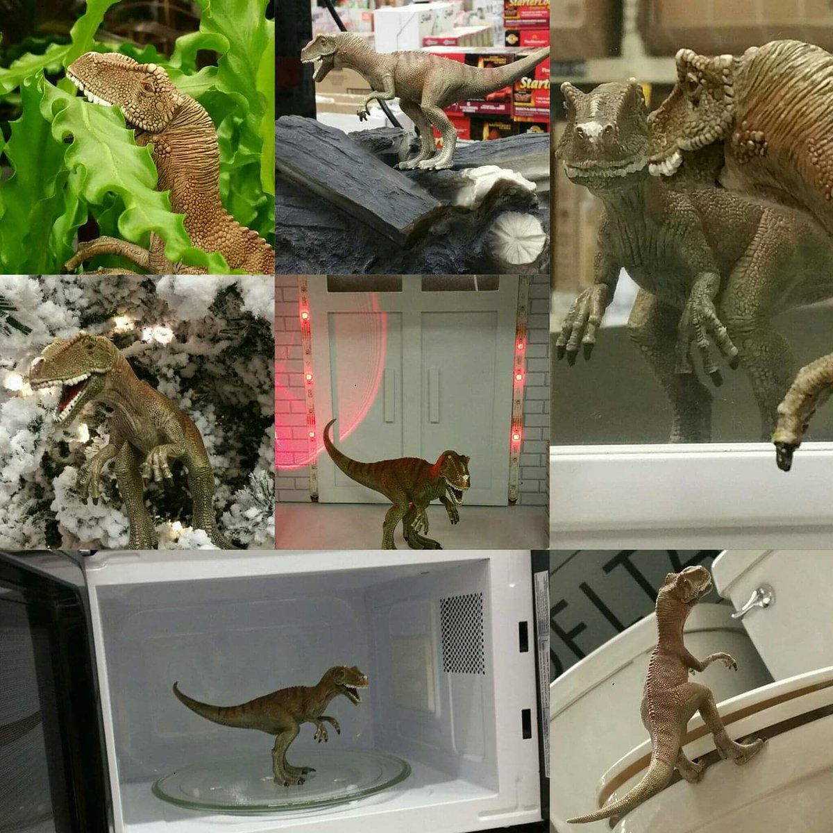 tshamblin01's tweet photo. Many of you know this boy has been with me my entire career so far at Home Depot. Well @KellyWhaley13 let him run wild and discover new departments. #prorex #newpasa #hekeepsmoralup #donttouchmydino https://t.co/EZdez94kbj