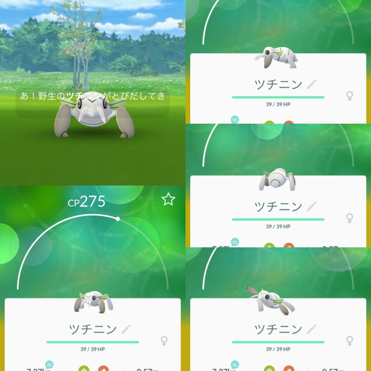 ポケモンセンターnakayama ゲンガーデイ前に ツチニンさんとテッカニンさん ポケモンgo Pokemongo T Co K4vlqlzqxz Twitter
