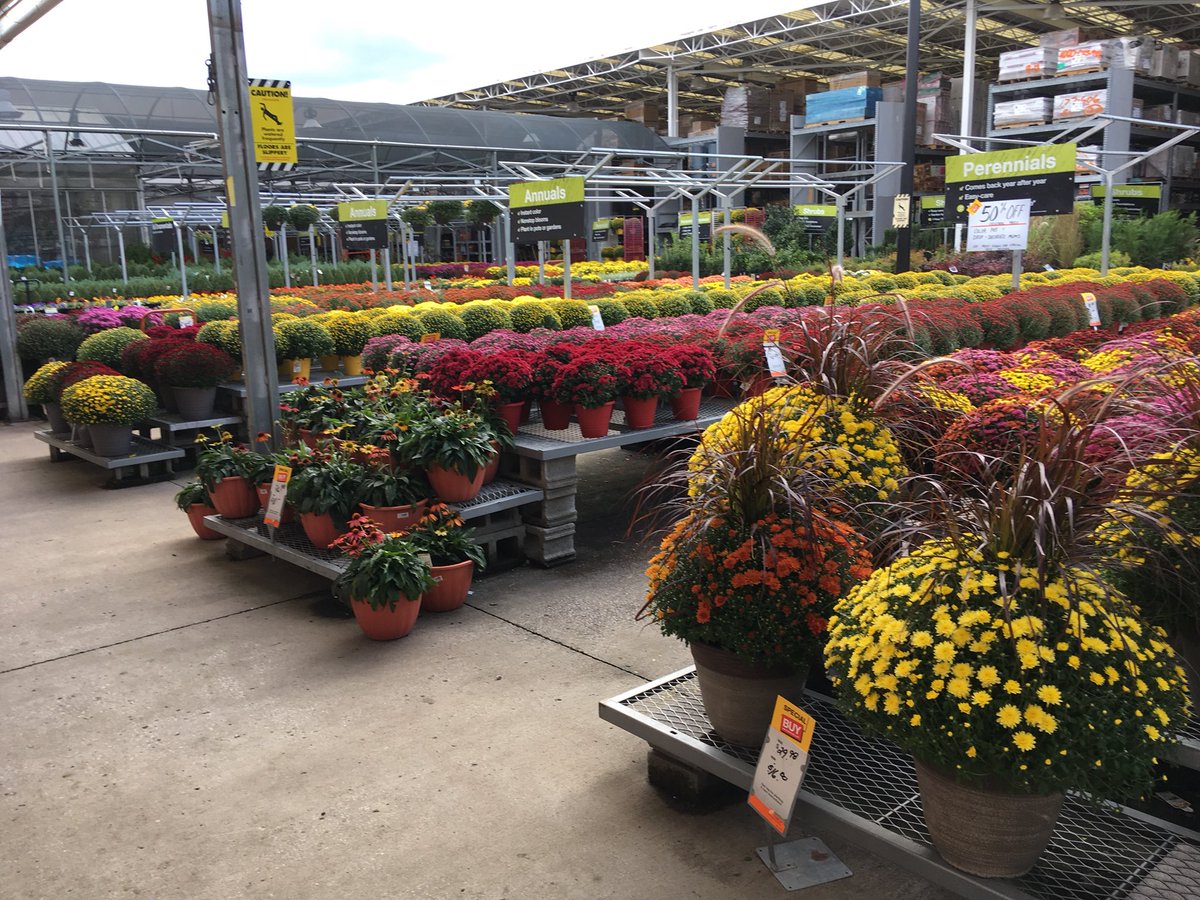 Rainbows above colorful mums and Pinery below. HD732 is ready to rock this weekend with a great variety of products @PPSinHD <a href="/DyerEric18/">Eric Dyer</a> <a href="/mjlojewski/">Michelle Lojewski</a> <a href="/Edward_Shelley/">Ed Shelley</a> <a href="/ToddDrew/">Todd Drew</a>