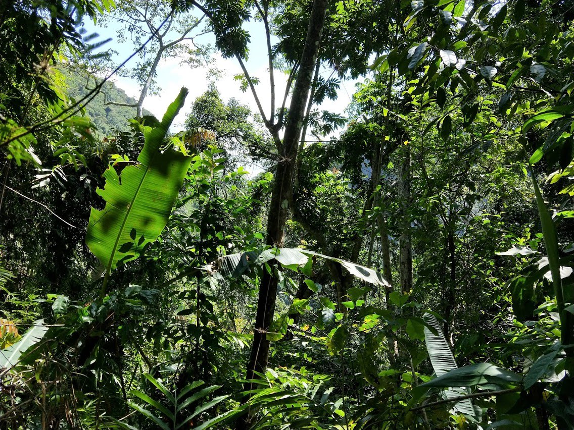 RoadToSelf_Blog's tweet image. Good Saturday, everyone! Going to #Laos? Check out our latest blog post for an INCREDIBLE amount of information on #tubing in Vang Vieng, #kungsiwaterfall and #bearsanctruary in Luang Prabang and taking a slow boat on #mekongriver.

roadtoself.net/2018/11/02/day…